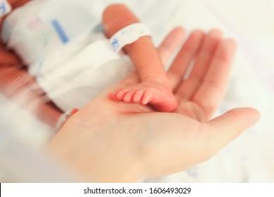 a mother and hand holding a baby foot