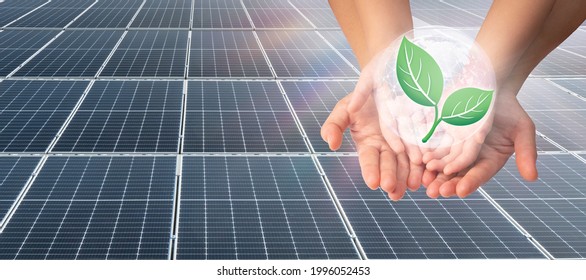 Mother And Child’s Hand Holding Green Plant In Digital World Over Solar Cell System, Solar Energy Clean Energy, Care Of The Environment, Ecology Concept.