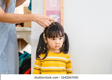 Mother Height Measure Her Daughter Near White Wall At Home.2.6 Years Old Girl Kid Standing And Looking At Above Using Hand Measuring Her Height.Growth Hormones, Child Development, Calcium Concept.