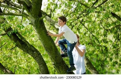 Mother Helping Child To Climb On Tree