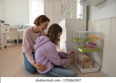 Mother helping teenage girl taking care of rodent pet at home. Happy family adult mommy and teen daughter playing with small rat, mouse or hamster in cage enjoying lifestyle fun activity together.