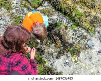 A mother and her daughter exploring the tidal pools and shores of the gulf islands of british columbia, Canada.  They are looking for sea creatures during low tide.