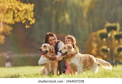 Mother with her daughter have walk with two Golden Retriever dogs in the park.