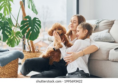Mutter mit ihrer Tochter, die mit dem Hund spielt. Der kleine, süße Welpen ist im modernen Wohnzimmer zu Hause.