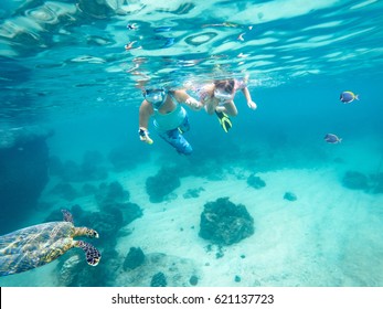 Mother and her little daughter doing snorkeling. Next floating turtle. Koh Tao, Thailand.