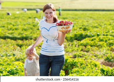 Mother And Her Little Kid Child On Organic Strawberry Farm In Summer, Picking Berries. Outdoors. Funny Kid Eating Fresh Organic Berries. On Sunny Warm Summer Day.