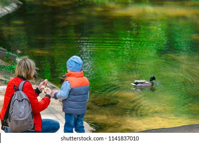 Mother And Her Son Are Feeding Ducks With Bread Crumbs Family Is Resting Near The Mother And Her Son Are Feeding Ducks With Bread Crumbs Family Is Resting Near The