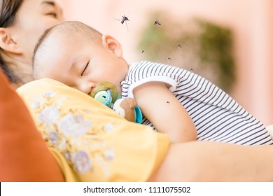 Mother Holding Baby Boy Child Sleeping And Mosquito Sucking Blood On Child Skin.Allergies With Mosquitoes Bite And Itching.Repellent, Dengue Virus, Yellow Fever, West Nile, Malaria, Diseases Spread.