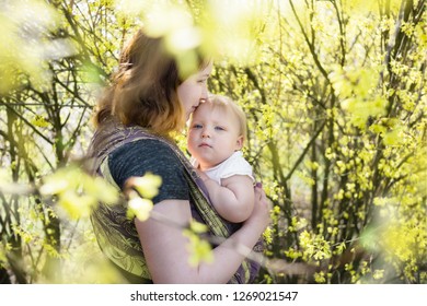 Mother Holding A Baby Girl Wrapped In A Sling, Kissing Her Forehead. High Key, Lifestyle Image Shot On A Sunny Day.