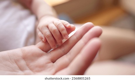 mother holding baby newborn hand. friendly family kid dream concept. mothers day concept. baby newborn in mother lifestyle arms close-up hand - Powered by Shutterstock