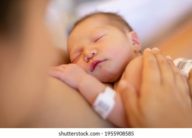 A Mother Holding Her Newborn Baby On Her Warm Chest For Skin On Skin Time At The Hospital.