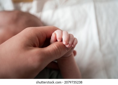 Mother is holding her newborn baby,Family warmth concept with love baby and mom, pro life photo, love between mother and baby, new life, family - Shutterstock ID 2079735238