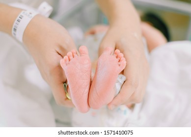 Mother Holding Newborn Baby Feet In Hands, In Hospital With Identification Bracelet Tag Name