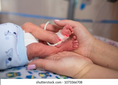 Mother Holding Premature Baby Legs With Neonatal Infant Pulse Oximeter 