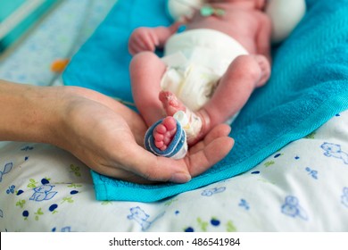 Bebe Prematuro Images Stock Photos Vectors Shutterstock