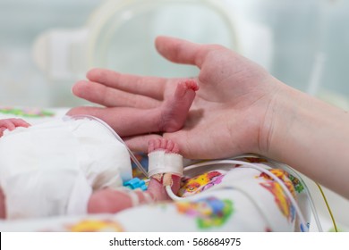 Bebe Premature Hd Stock Images Shutterstock