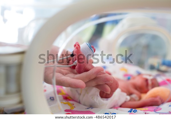mother holding premature baby legs with neonatal infant
pulse oximeter 