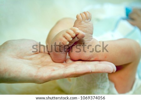 Mother holds newborn baby's bare feet. Tiny feet in woman's hand, Toned.