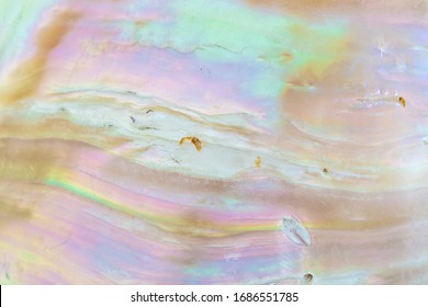 Mother of pearl sea  shell close up background