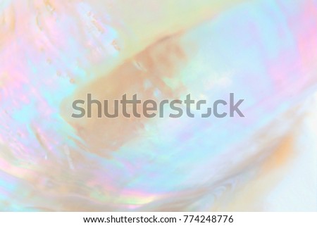 Mother of pearl sea shell close up background 