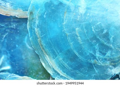 Mother Of Pearl Shell Blue Background.texture Of The Mother Of Pearl Sea Shell.Blue Sea Nature Background.