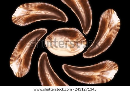  mother of pearl shell, natural pearls,   abstract composition of a photography with a central motif that develops in a kaleidoscopic way,