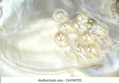 Mother Of Pearl High Res Stock Images Shutterstock