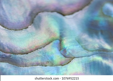 Mother Of Pearl Texture, Seashell