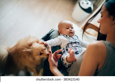 Mother Playing With Her Baby And Dog