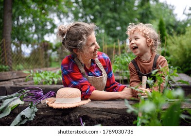 Mother With Small Daughter Gardening On Farm, Growing Organic Vegetables.