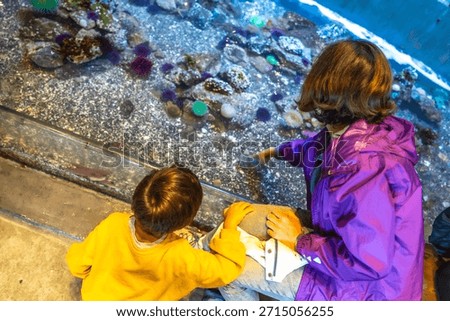 Mother and son enjoying interactive experience. Pointing at sea creatures in touch tank. Learning about ocean life during family visit to public aquarium. Promoting marine conservation and education