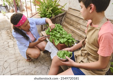 A mother and son are gardening together, harvesting fresh spinach leaves from a planter, symbolizing family bonding and sustainable living. - Powered by Shutterstock