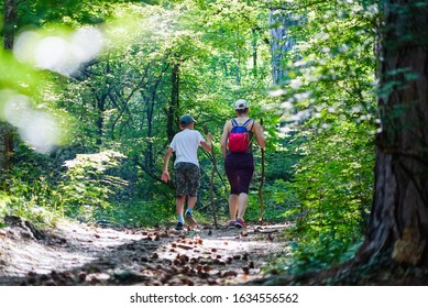 Mother and son go up the path with cones in the pine forest . Crimea. Yalta. Lower Botkin's pathway. - Powered by Shutterstock