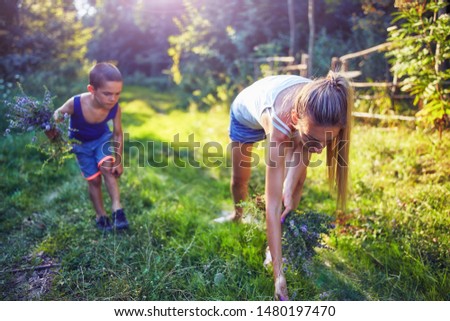 Similar – Image, Stock Photo little boy picks flowers in the garden