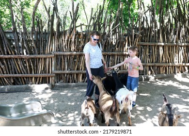 Mother And Son Play With Goats At Petting Zoo