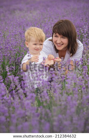 Similar – In the lavender field