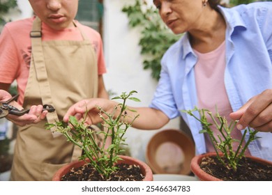 A mother and son work together, pruning plants in their garden. The boy holds the shears while the mother guides him through the steps. This scene captures bonding and learning through gardening. - Powered by Shutterstock