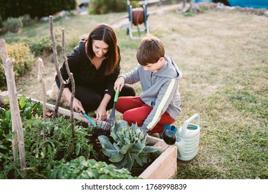 Mother and son working in a vegetable garden - Powered by Shutterstock