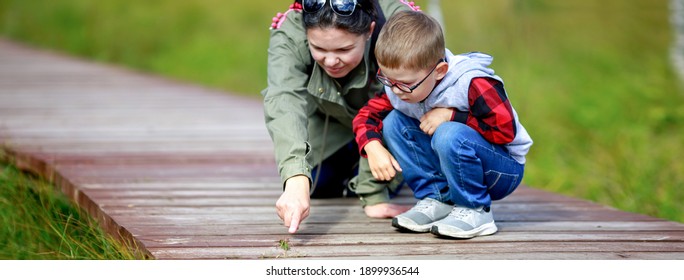 Mother Spends Time With Her Little Son At Nature Park. Mom Points To A Large Green Grasshopper. The Child Wears Glasses.