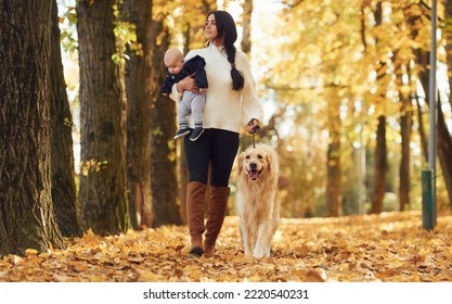 Mother with toddler and dog is having a walk in the autumn park. - Shutterstock ID 2220540231