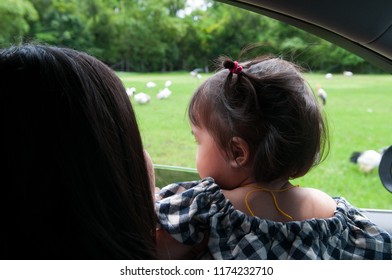 Mother And Toddler Girl Child Are Watching Animals At The Safari Park From Car. Wildlife Experience For Parents And Kids At The Zoo