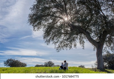 Mother And Toddler Son Playing Under Acorn Tree. Enjoying Nature In Family Concept