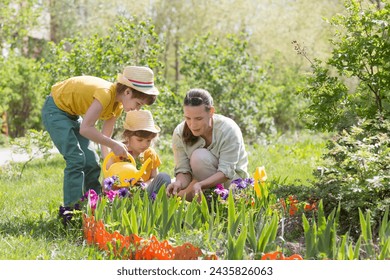 mother and and two children daughter and son plant flowers in the garden near the houme on spring day. Kids help mom work in the garden. slow life. enjoy the little things.  - Powered by Shutterstock