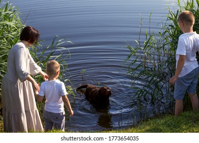 mother with two sons stands near the lake on the shore and looks at the dog Labrodor, mother in a long dress, children in white T-shirts and shorts, on a green lawn - Powered by Shutterstock