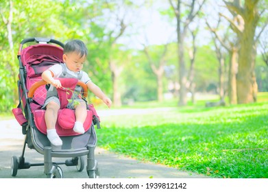 Mother Walking With Baby Stroller In Park