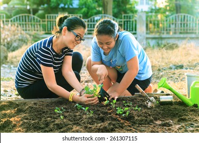 mother and young daughter planting vegetable in home garden field use for people family and single mom relax outdoor activities 