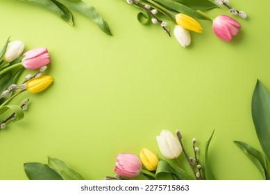 Mother's Day concept. Top view photo of floral decorations pussy willow branches and colorful tulips on isolated light green background with empty space