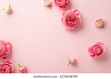 Mother's Day concept. Top view photo of fresh flowers pink peony roses on isolated pastel pink background with blank space