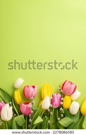 Mother's Day concept. Top view vertical photo of colorful tulips and pussy willow branches on isolated light green background with empty space