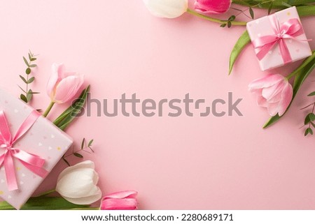 Mother's Day decorations concept. Top view photo of trendy gift boxes with ribbon bows and tulips on isolated pastel pink background with copyspace